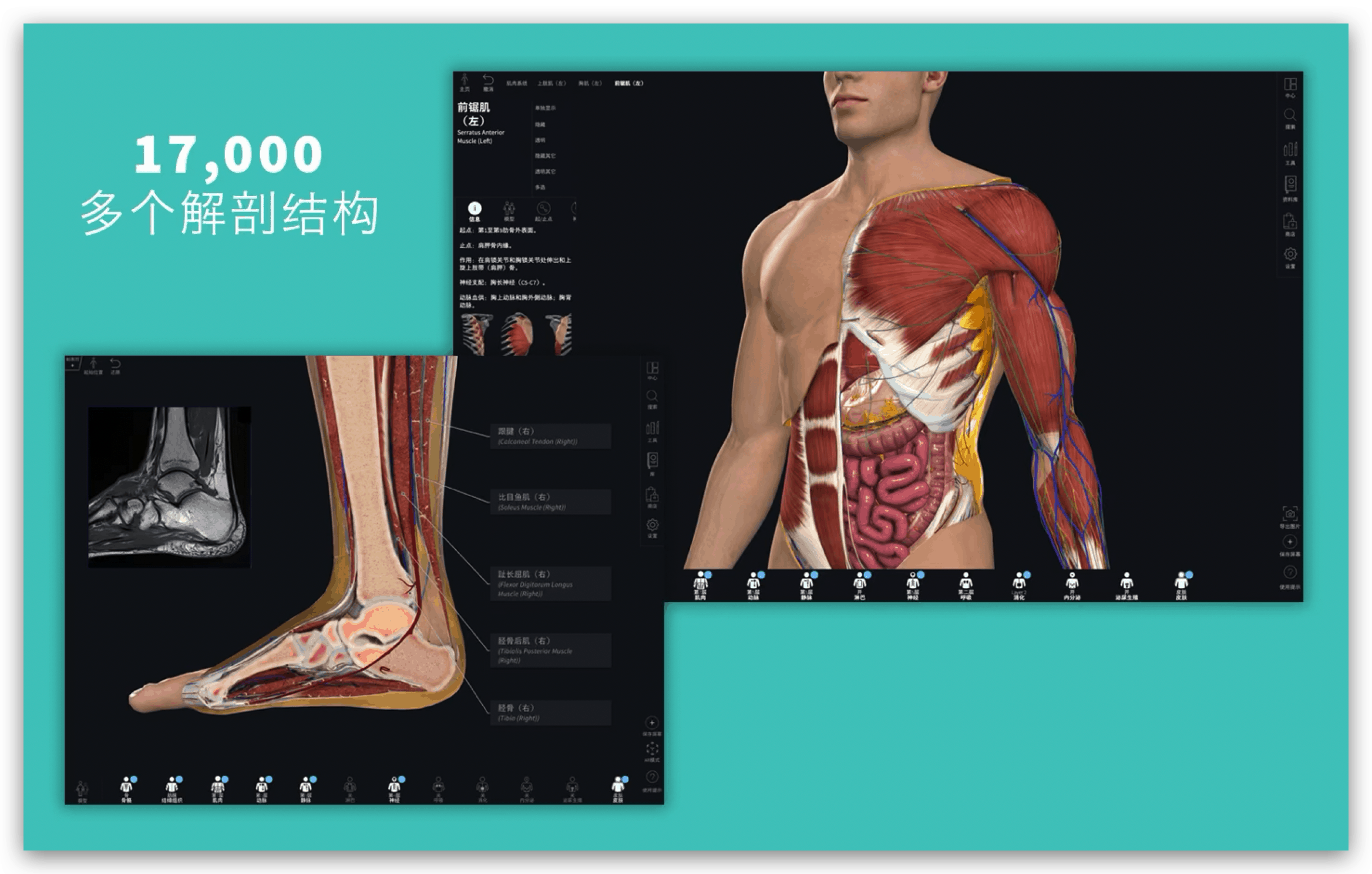 Complete Anatomy 2019 for mac-1