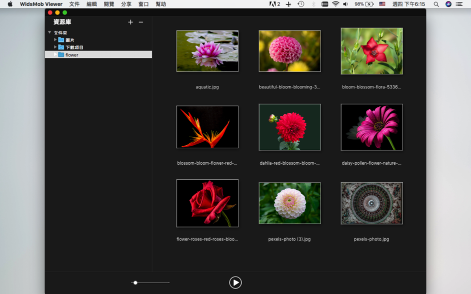 WidsMob Viewer Pro for Mac -3