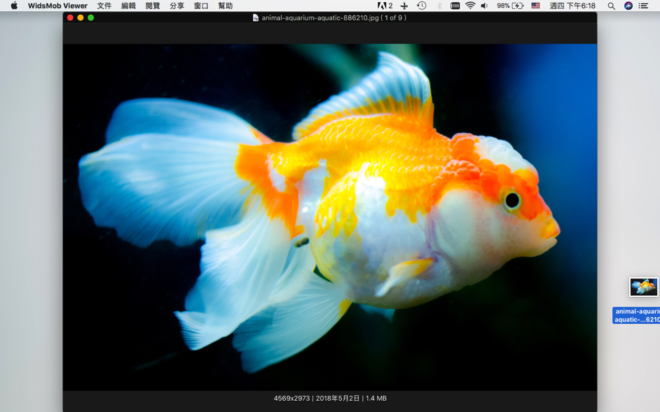 WidsMob Viewer Pro for Mac -1
